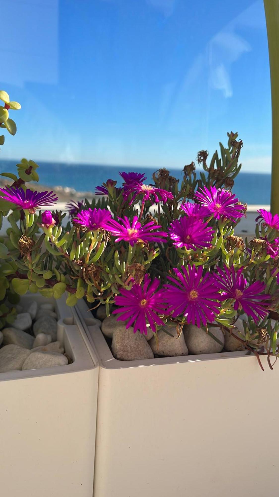 Rincon Idilia Διαμέρισμα Rincón de la Victoria Εξωτερικό φωτογραφία