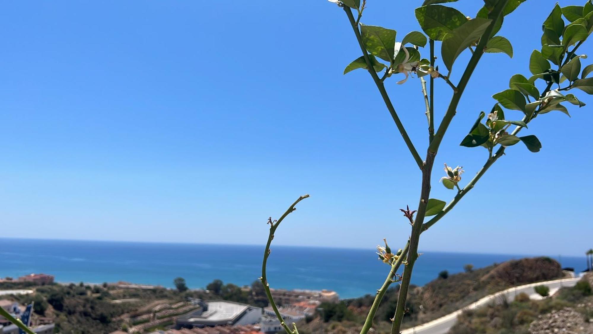 Rincon Idilia Διαμέρισμα Rincón de la Victoria Εξωτερικό φωτογραφία