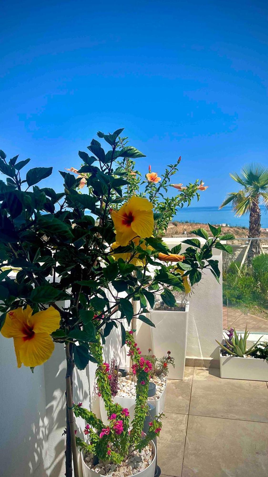 Rincon Idilia Διαμέρισμα Rincón de la Victoria Εξωτερικό φωτογραφία